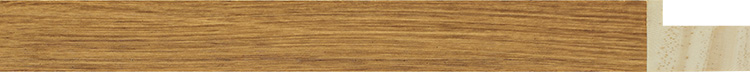 1210-9387